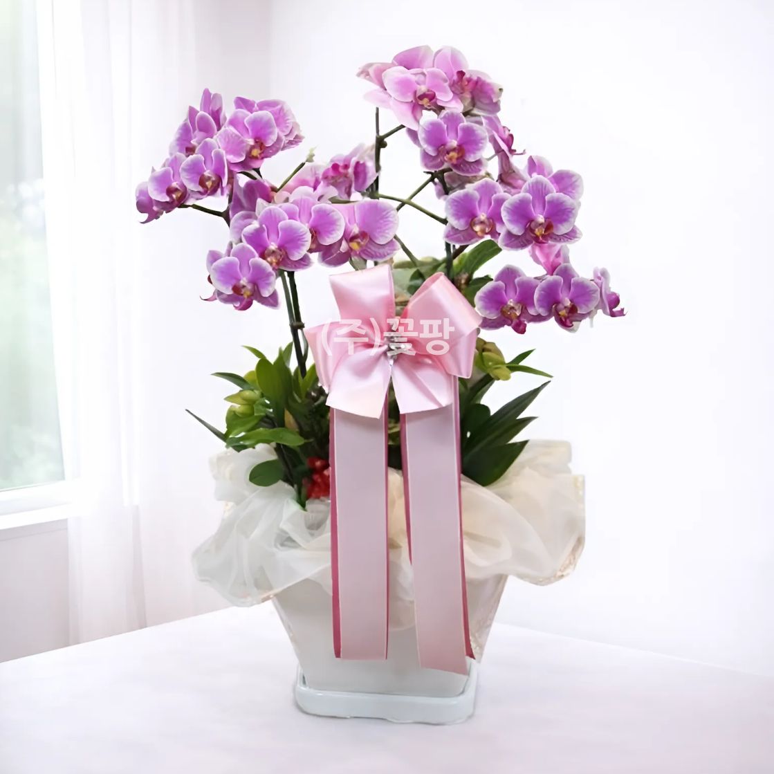 호접(핑크)
