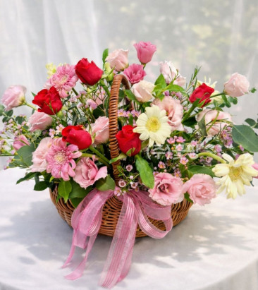 로지 데이라이트